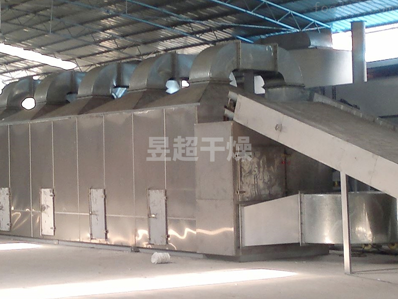 DWG瓜子专用干燥生产线(武汉XX食品有限公司)